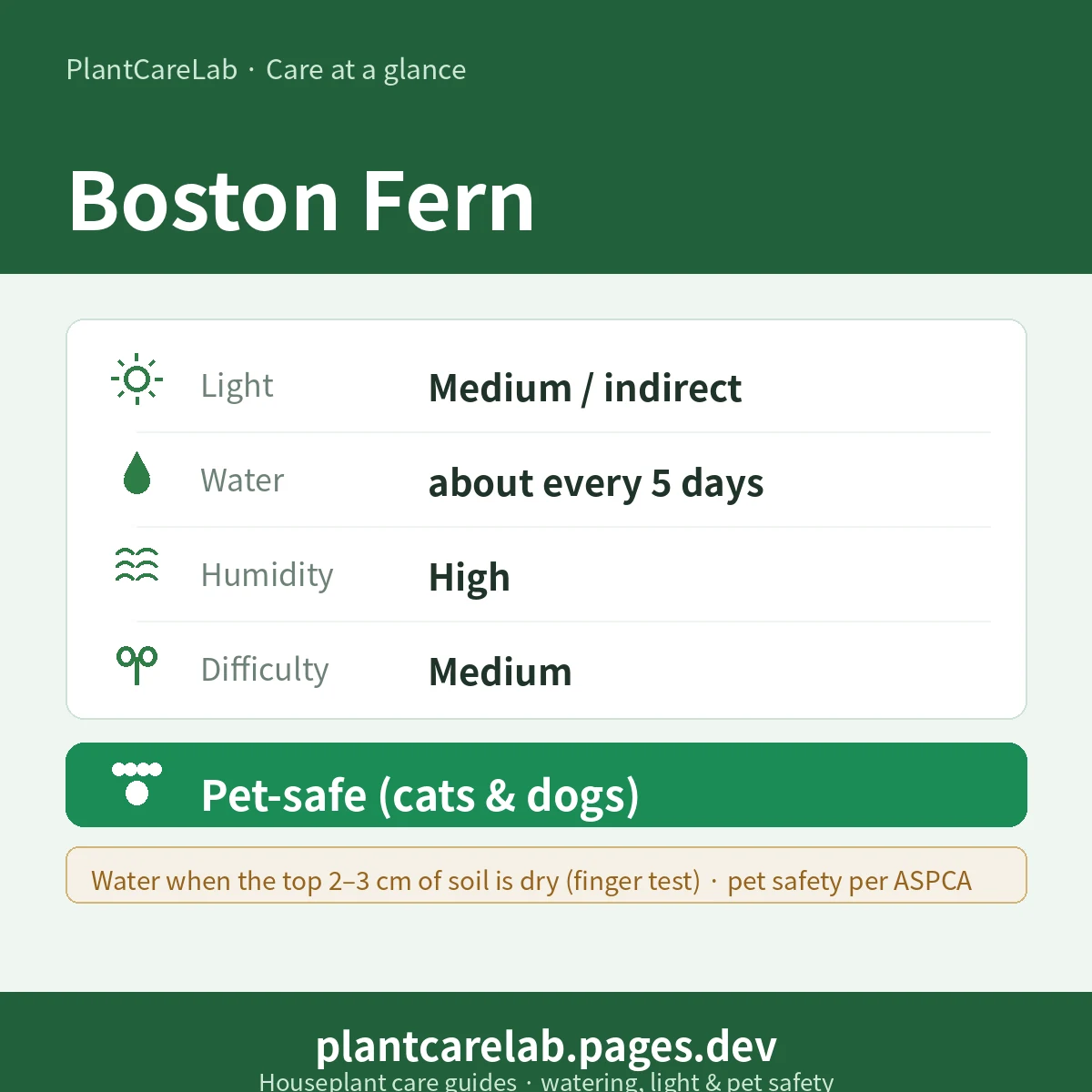 Boston Fern care at a glance — Medium / indirect light, water about every 5 days, High humidity, Medium difficulty, Pet-safe
