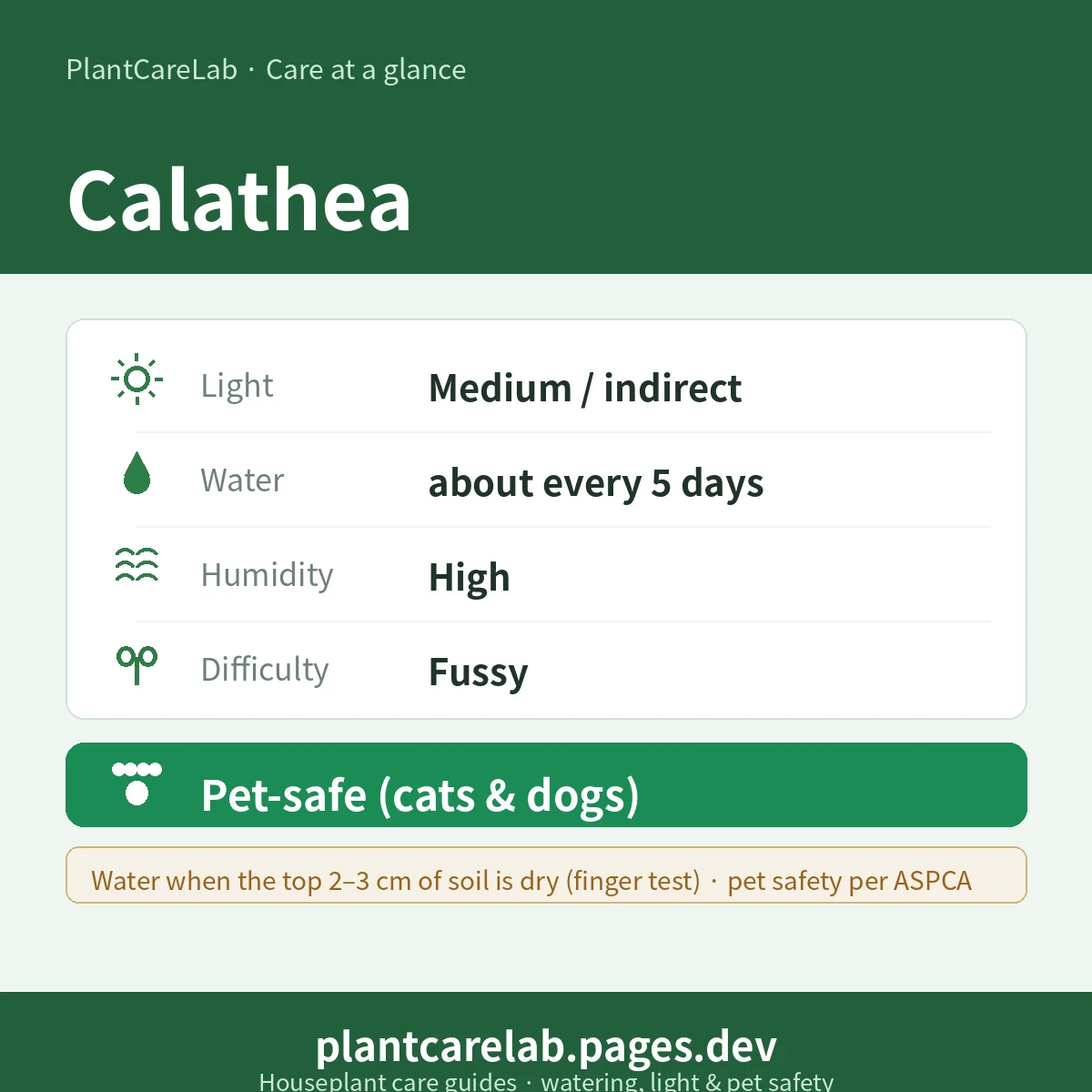 Calathea care at a glance — Medium / indirect light, water about every 5 days, High humidity, Fussy difficulty, Pet-safe