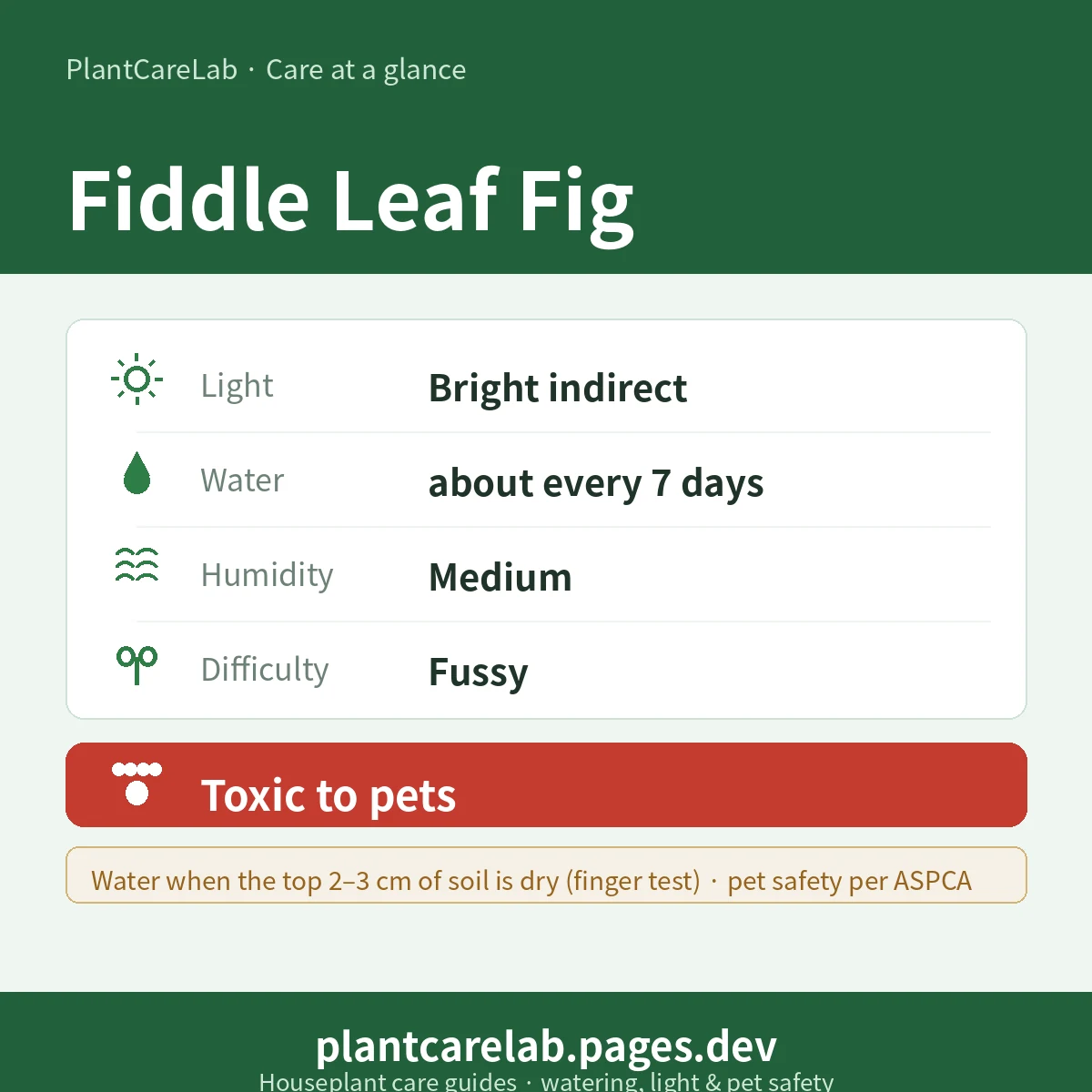 Fiddle Leaf Fig care at a glance — Bright indirect light, water about every 7 days, Medium humidity, Fussy difficulty, Toxic to pets