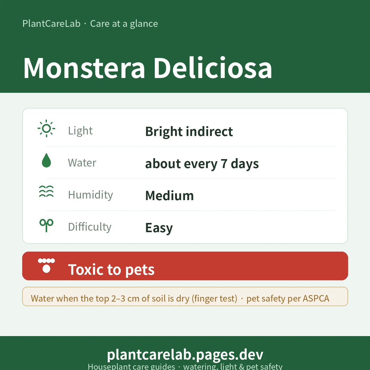 Monstera Deliciosa care at a glance — Bright indirect light, water about every 7 days, Medium humidity, Easy difficulty, Toxic to pets