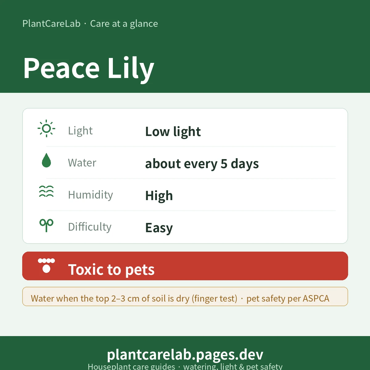 Peace Lily care at a glance — Low light light, water about every 5 days, High humidity, Easy difficulty, Toxic to pets