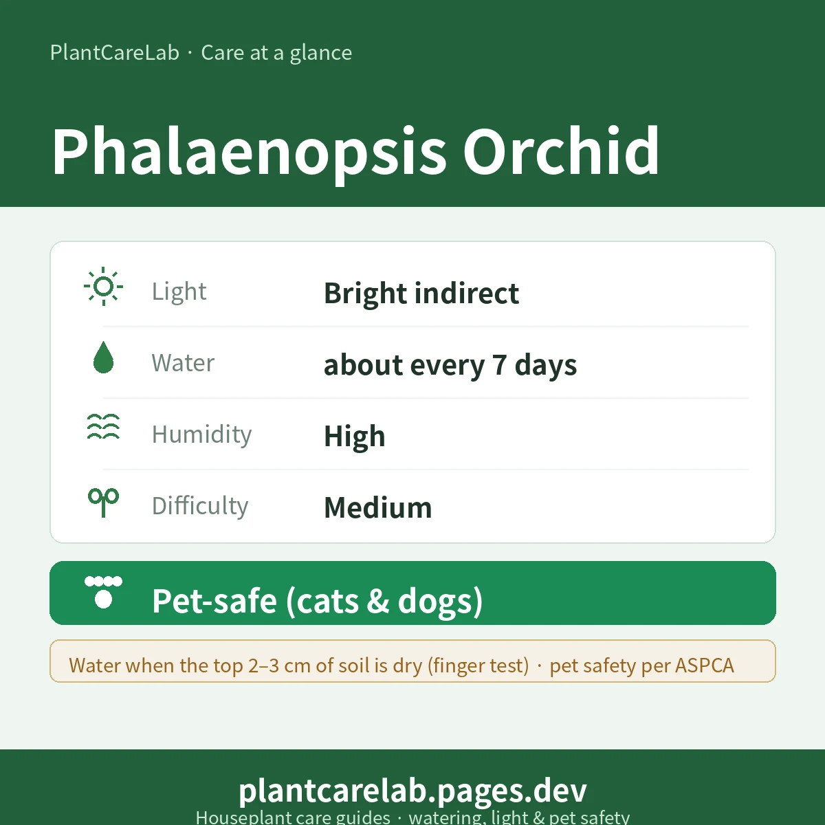 Phalaenopsis Orchid care at a glance — Bright indirect light, water about every 7 days, High humidity, Medium difficulty, Pet-safe