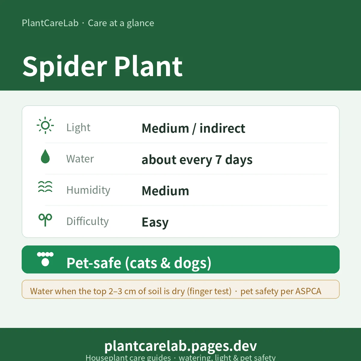Spider Plant care at a glance — Medium / indirect light, water about every 7 days, Medium humidity, Easy difficulty, Pet-safe